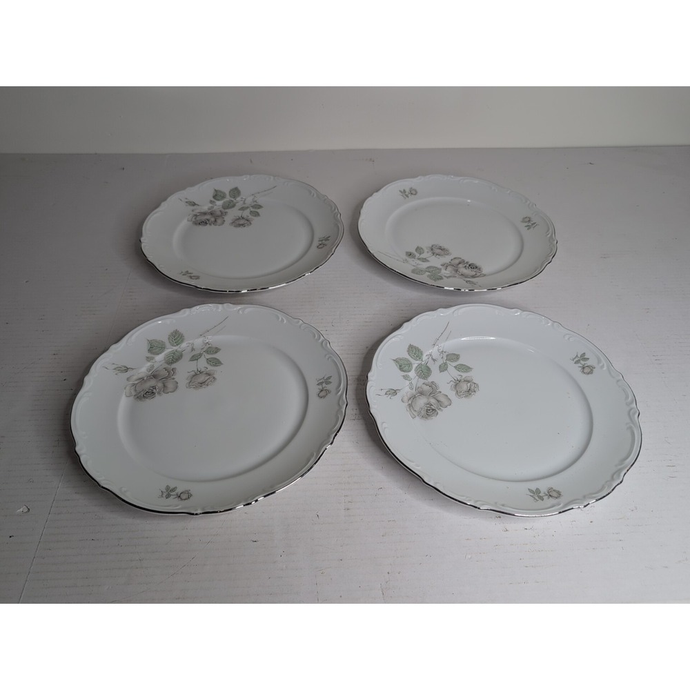 (6) Vtg Mitterteich China Germany Porcelain Mystic Rose Dinner Plates 10.5"